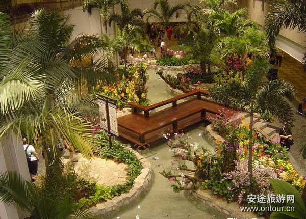 巴厘岛游记