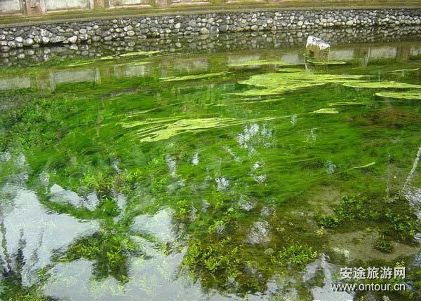 巴厘岛游记