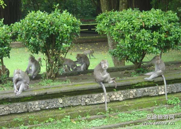 巴厘岛游记