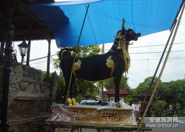巴厘岛游记