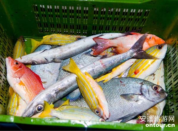 马尔代夫瓦度Vadoo