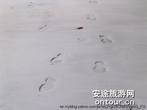 马来西亚绿中海