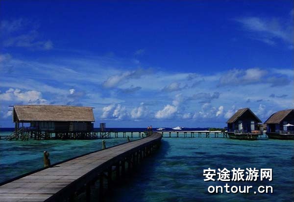 ��������ɿ��ǵ�cocoa island