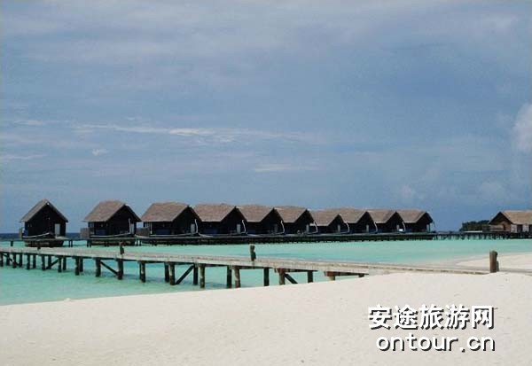 ��������ɿ��ǵ�cocoa island