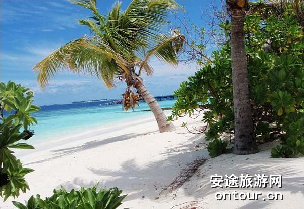 ��������ɿ��ǵ�cocoa island