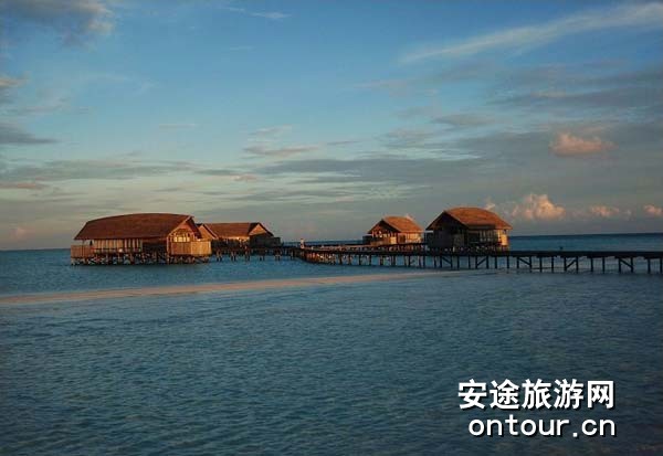 ��������ɿ��ǵ�cocoa island