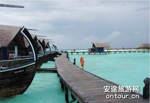 ��������ɿ��ǵ�cocoa island