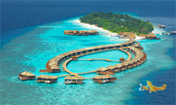 ��������Lily Beach