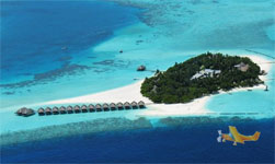 ��������Moofushi