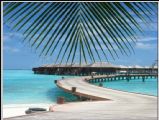 ˫㵺(olhuveli)